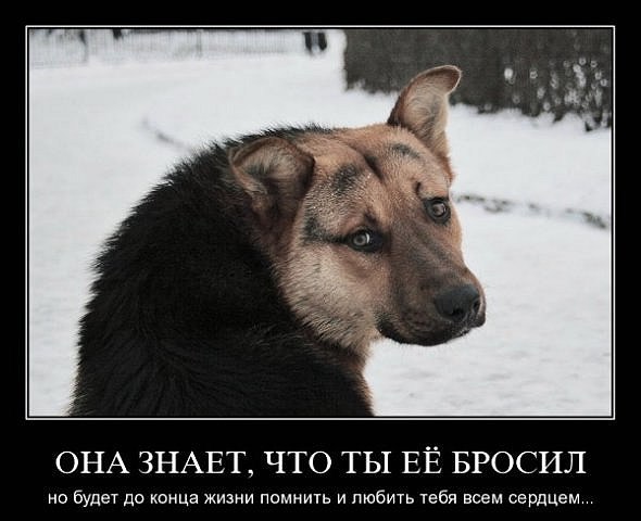 Антон Антонов | Ижевск