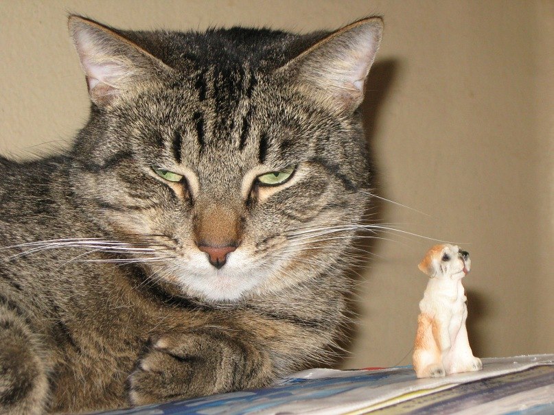 Nickolas Rocknroll | Санкт-Петербург