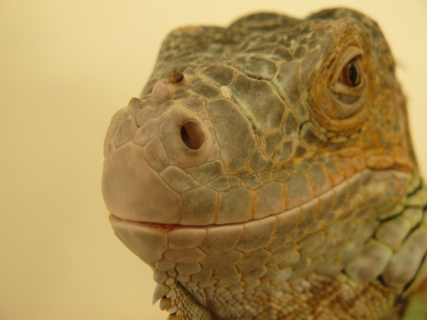 №119, Hustle Butter, 34 года, Таллин №119, Hustle Butter, 34 года, Таллин