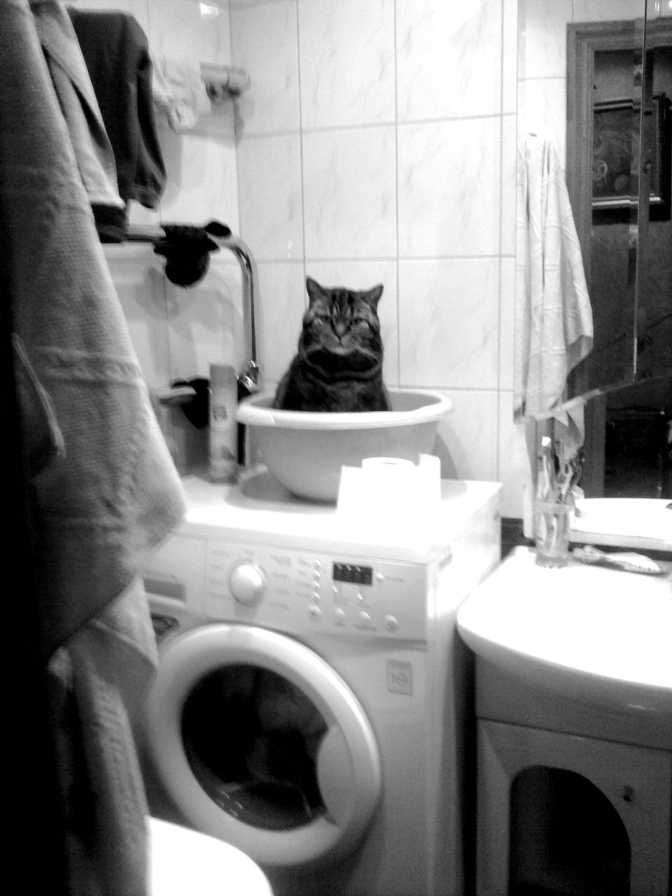 Tanya Golubeva | Долгопрудный