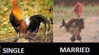 Borys Pawliw | Seattle