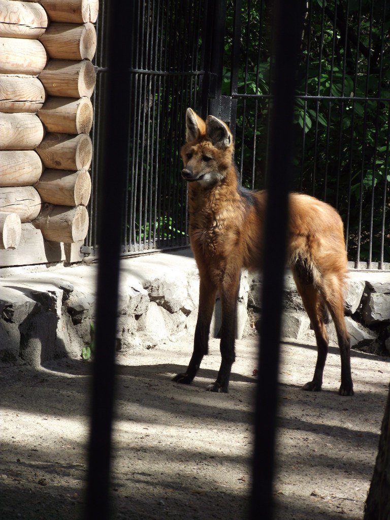 Галина Зайко | Новосибирск
