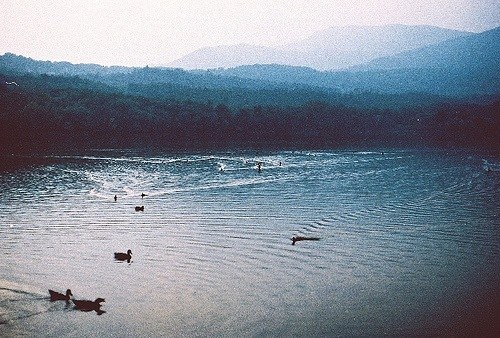 Victoria Petukhova | 