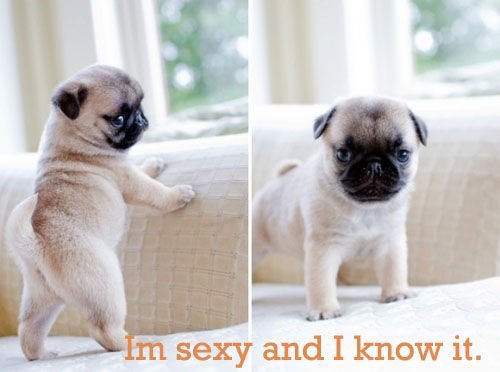 Юлия Вдовик | 