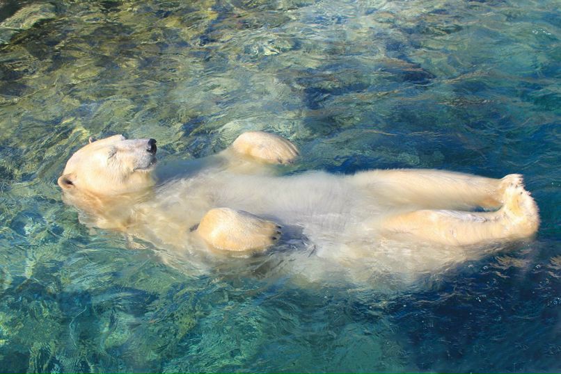 Лена Ле | Москва