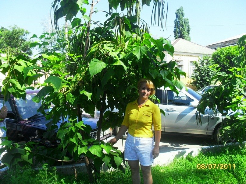 Фарида Шакирова | Чистополь