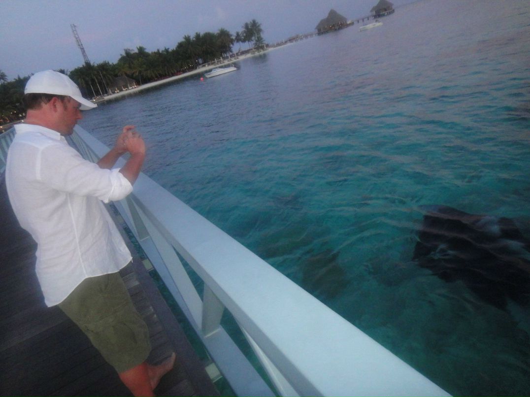 Анна Цезигер | Москва