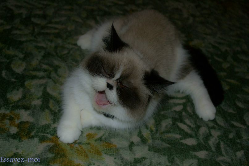 Володька Ярцев essayez-moi | Кривой Рог