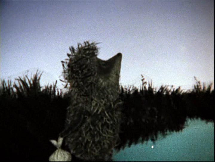 Марина Акуленко | Санкт-Петербург