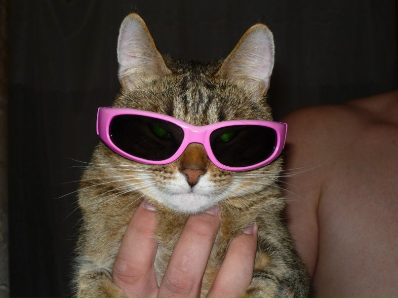 Антон Малинин | Чебоксары