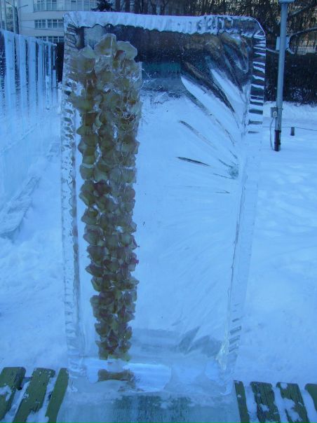 №153, Николай Хоменко, 38 лет, Смела №153, Николай Хоменко, 38 лет, Смела