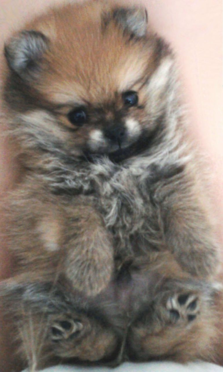 Kristina Morozova | Нижний Новгород