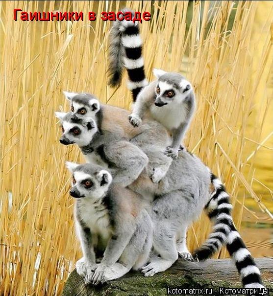 Сергей Говоруха Сварог | Харьков