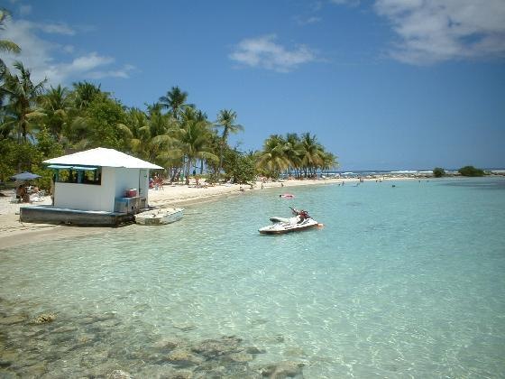 №53, Ксения Швецова №53, Ксения Швецова