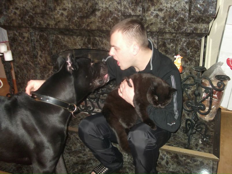 №9, Антон Гульцев, 41 год, Санкт-Петербург №9, Антон Гульцев, 41 год, Санкт-Петербург