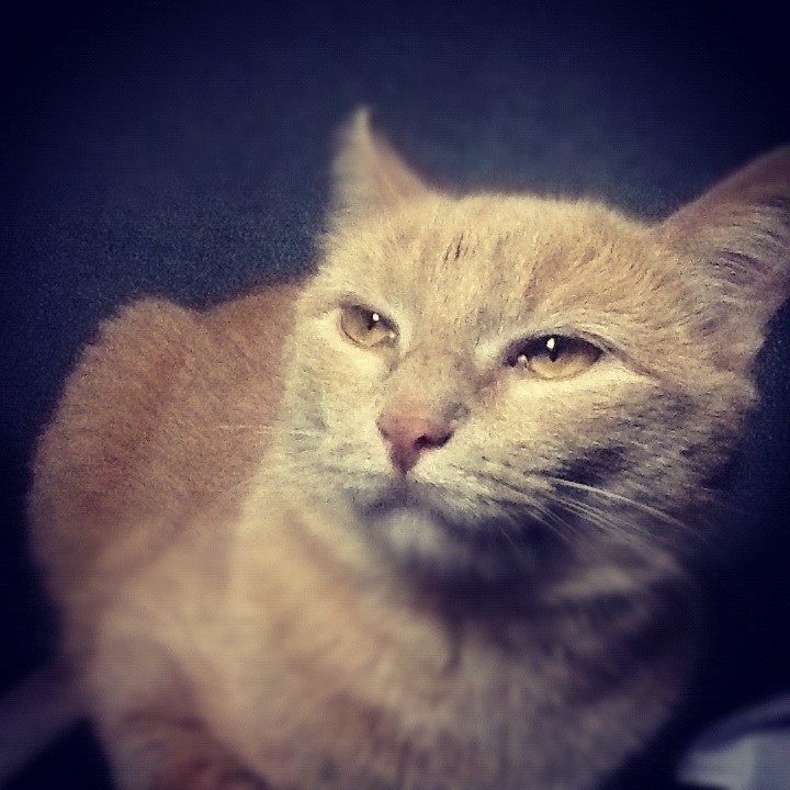 Паша Панфёров | Москва