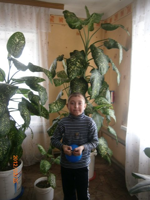 Елена Волошина | Новосибирск