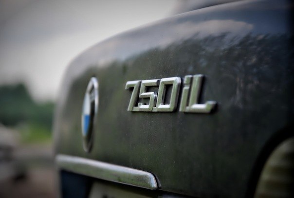 Мишаня Вилимок | Могилёв