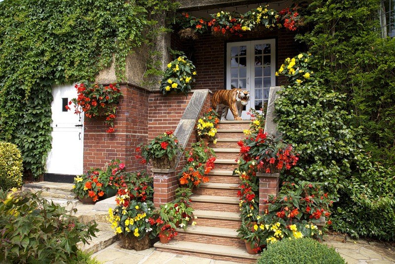 Наталия Ушакова | Санкт-Петербург