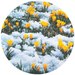 Валентина Жигун фотография #21