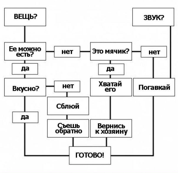 №124, Надя Антоненко №124, Надя Антоненко
