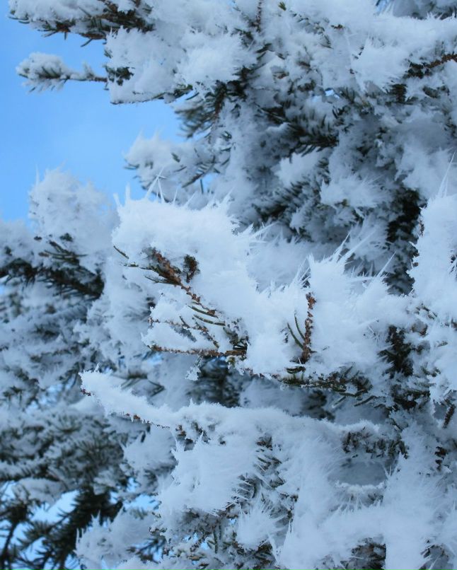 Сергей Орлов | Москва