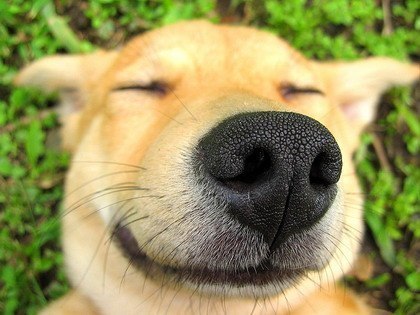 Павел Волыков ♂ ♉ | Одинцово