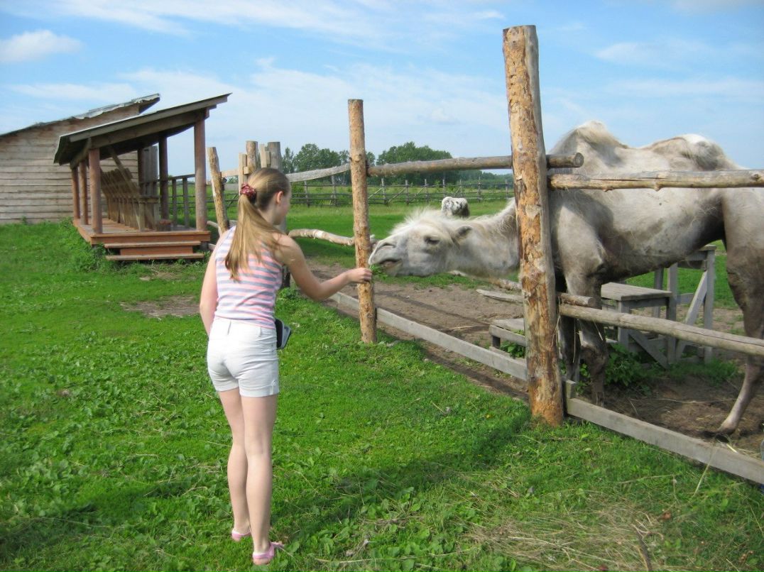 Юлия Денисова | 