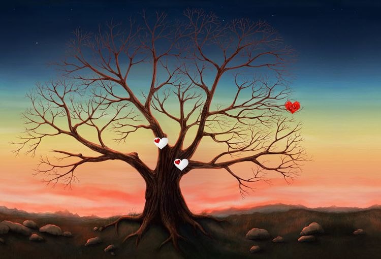 Дарья Бойченко | Лисичанск