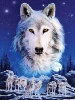 №73, Вера Попова, Воронеж №73, Вера Попова, Воронеж