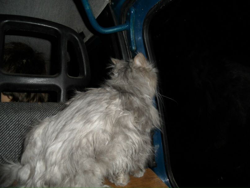 Николай Гусев | Нижний Новгород