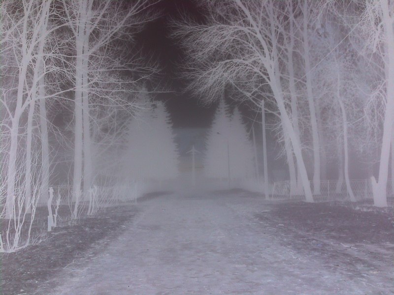 Денис Блиц | Тамбов