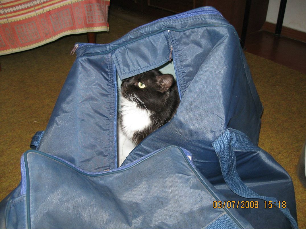 Виталий Воробьев | Черкассы