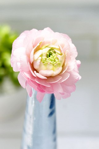 Екатерина Разливанова | Москва