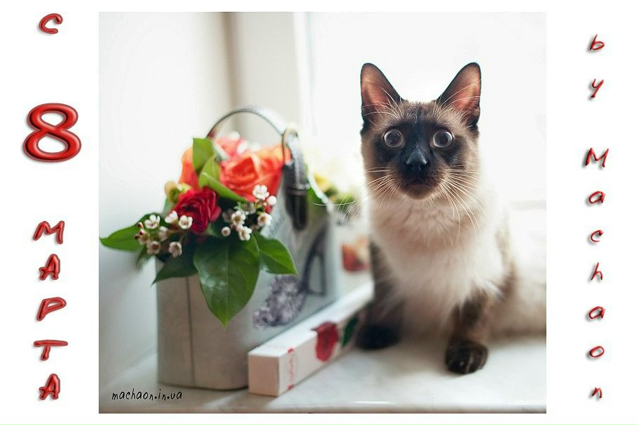 №135, Юрий Бершадский, 54 года, Одесса №135, Юрий Бершадский, 54 года, Одесса