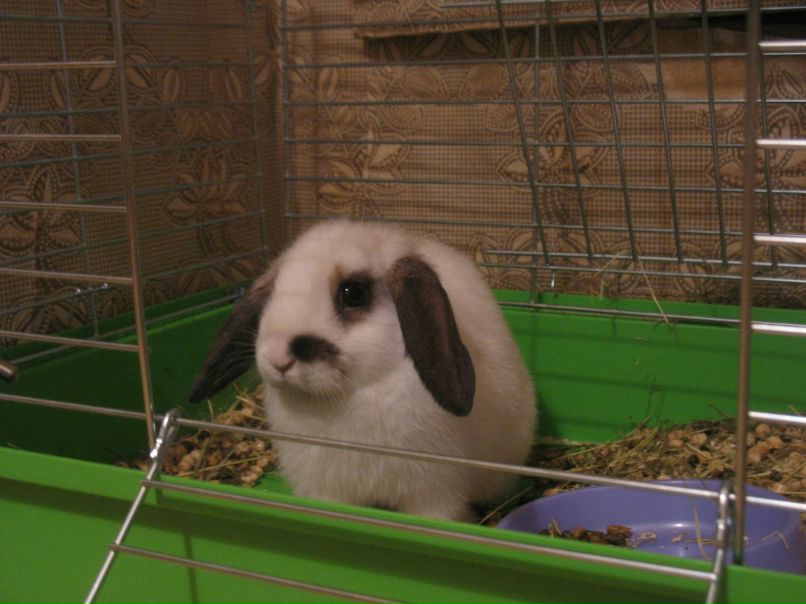 Татьяна Дулова | Москва