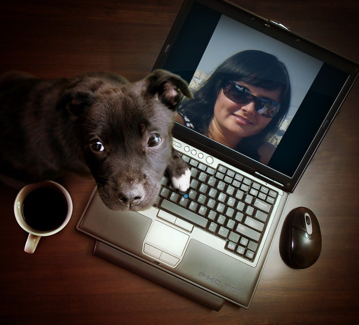 Елена Прохоренко | Ржев