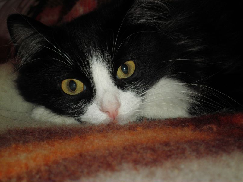 Оля Журавлева | Луганск