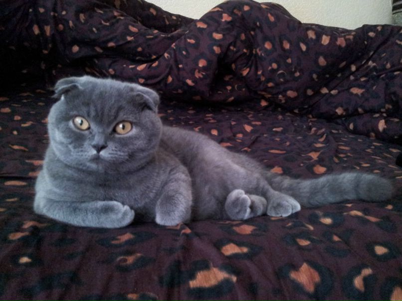 Нина Радченко | 