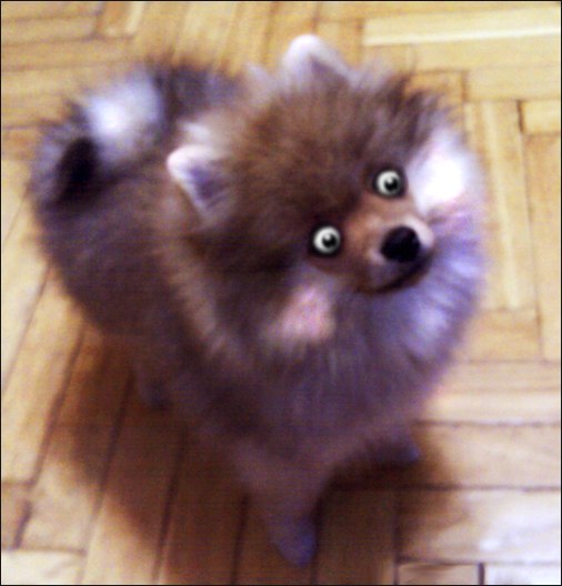 Игорь Сергеенко | Москва