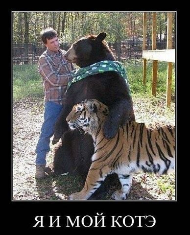 Ирина Нозик | Волжский