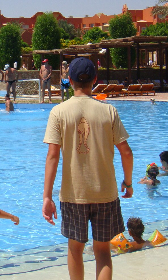 Александр Лаптинский | Минск