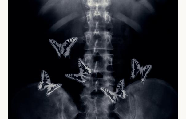 София Кочубеева | Москва