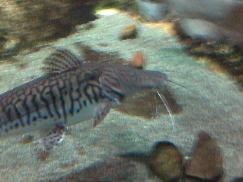 Татьяна Баранова | Санкт-Петербург