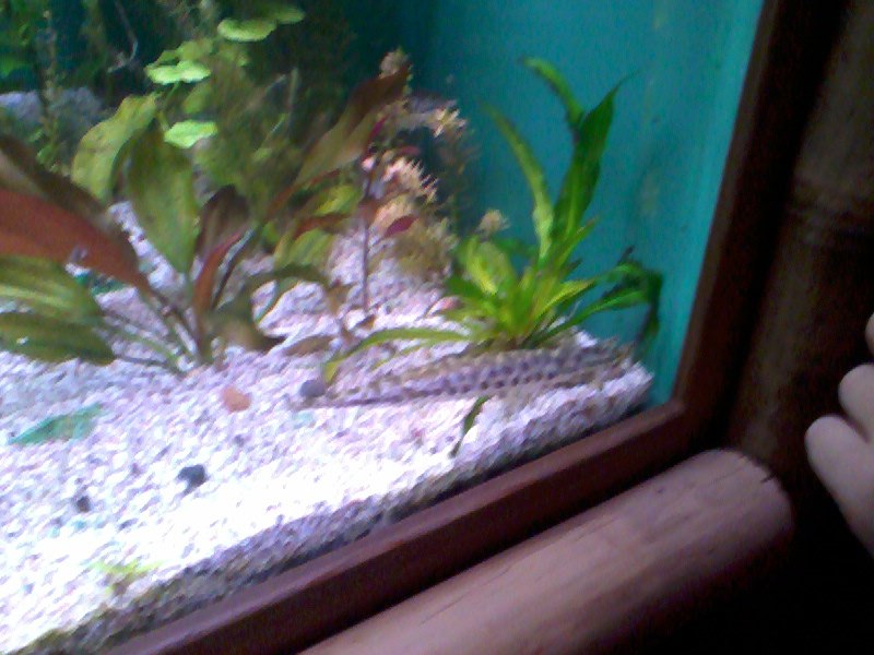 Татьяна Баранова | Санкт-Петербург