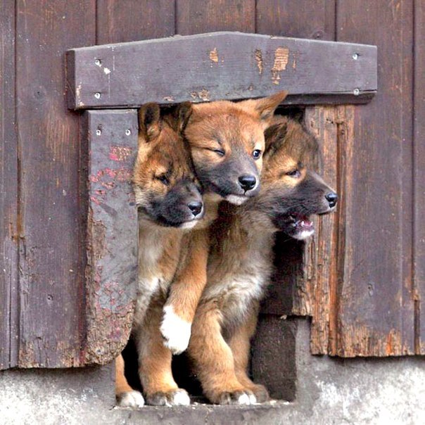 Андрей Зидамышев | Пермь