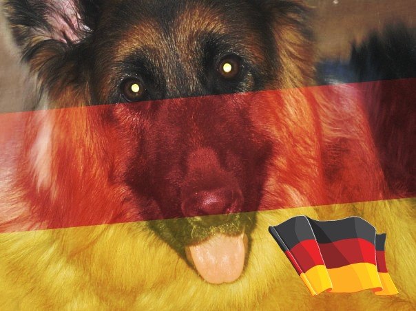 Юния Козловская | Санкт-Петербург