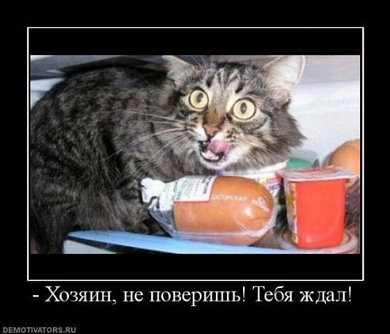 №16, Валерия Уварова, 37 лет, Астрахань №16, Валерия Уварова, 37 лет, Астрахань