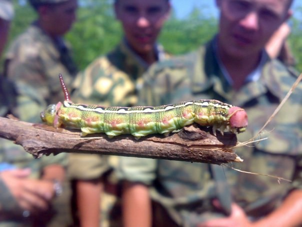 Александр Чертилин Валерьевич | Лесные Поляны