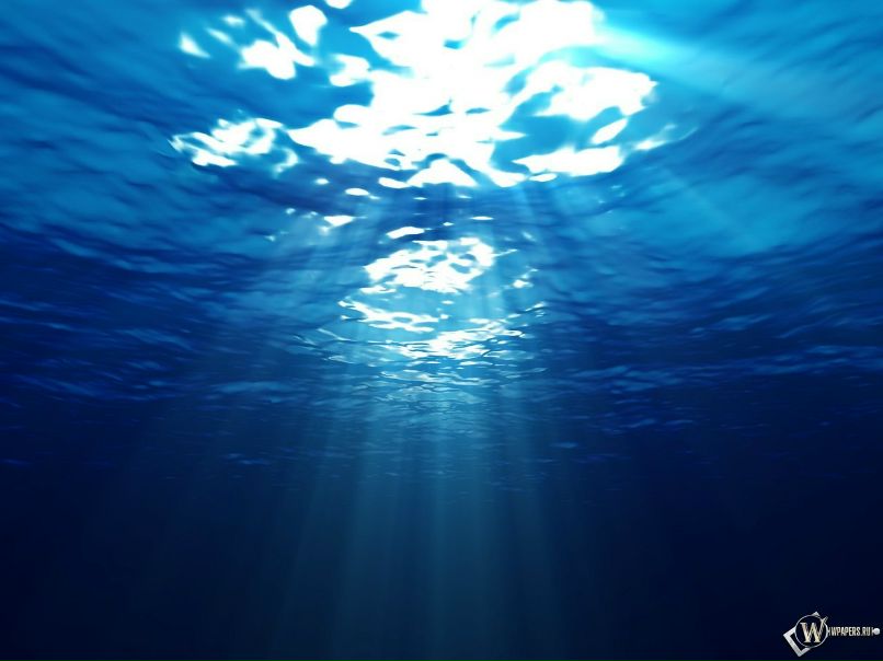 Алексей Веденеев | Самара